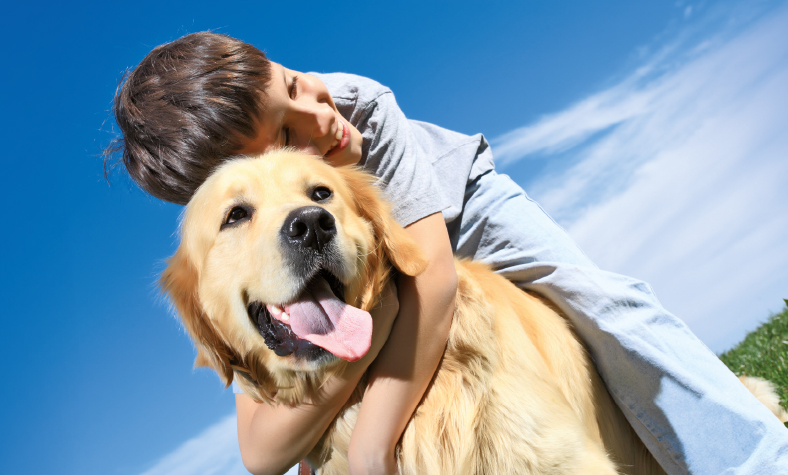 Adopción Adopción